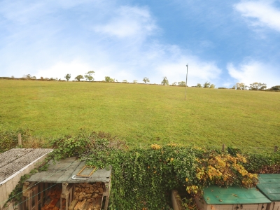 Picture 11